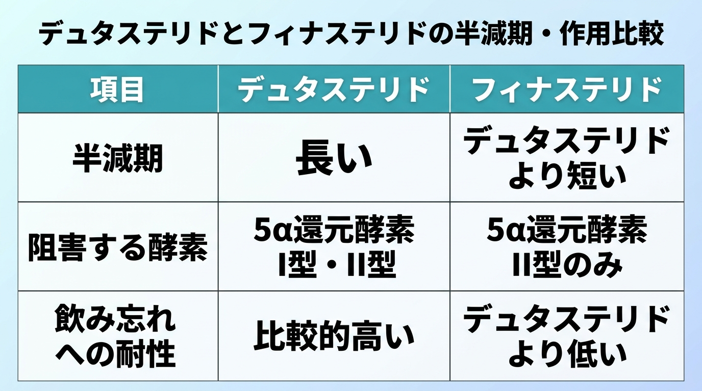 タイトル: デュタステリドとフィナステリドの半減期・作用比較。3列の表: ヘッダー行: 項目 | デュタステリド | フィナステリド。行1: 半減期 | 長い | デュタステリドより短い。行2: 阻害する酵素 | 5α還元酵素I型・II型 | 5α還元酵素II型のみ。行3: 飲み忘れへの耐性 | 比較的高い | デュタステリドより低い