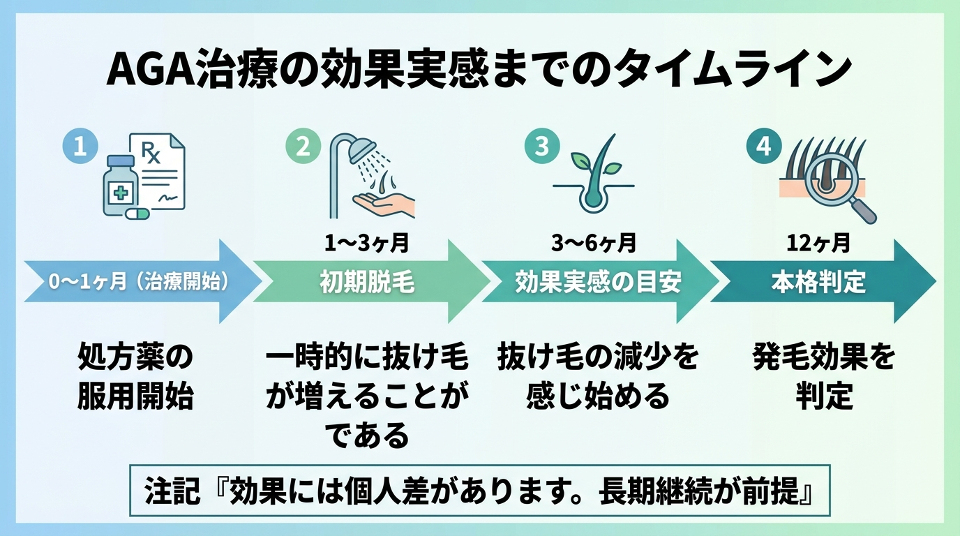 タイトル: AGA治療の効果実感までのタイムライン。横軸の時間経過図: 0〜1ヶ月(治療開始)処方薬の服用開始。1〜3ヶ月 初期脱毛: 一時的に抜け毛が増えることがある。3〜6ヶ月 効果実感の目安: 抜け毛の減少を感じ始める。12ヶ月 本格判定: 発毛効果を判定。下部に注記『効果には個人差があります。長期継続が前提』