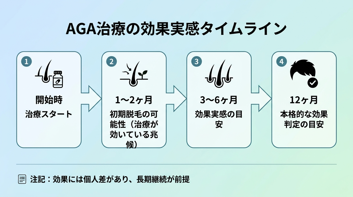 タイトル: AGA治療の効果実感タイムライン。横軸の時系列フロー図で: 開始時: 治療スタート。1〜2ヶ月: 初期脱毛が起きることがある(治療が効いている兆候)。3〜6ヶ月: 効果実感の目安。12ヶ月: 本格的な効果判定の目安。下部に注記: 効果には個人差があり、長期継続が前提