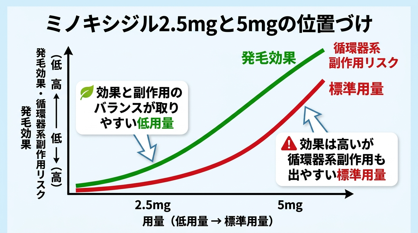 タイトル: ミノキシジル2.5mgと5mgの位置づけ。2軸グラフ: 横軸=用量(2.5mg→5mg)、縦軸=発毛効果と循環器系副作用リスクが両方とも右肩上がりに増加する2本の線。2.5mgの位置に『効果と副作用のバランスが取りやすい低用量』、5mgの位置に『効果は高いが循環器系副作用も出やすい標準用量』とラベル表示