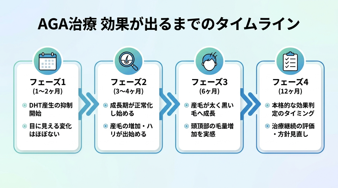 タイトル: AGA治療 効果が出るまでのタイムライン。横並び4フェーズの矢印チャート: フェーズ1(1〜2ヶ月)DHT産生の抑制開始/目に見える変化はほぼない。フェーズ2(3〜4ヶ月)成長期が正常化し始める/産毛の増加・ハリが出始める。フェーズ3(6ヶ月)産毛が太く黒い毛へ成長/頭頂部の毛量増加を実感。フェーズ4(12ヶ月)本格的な効果判定のタイミング/治療継続の評価・方針見直し
