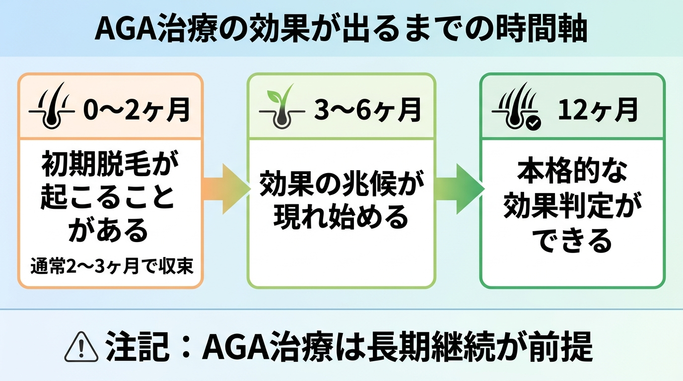 タイトル: AGA治療の効果が出るまでの時間軸。横向きのタイムライン図で: 0〜2ヶ月（初期脱毛が起こることがある・通常2〜3ヶ月で収束）→ 3〜6ヶ月（効果の兆候が現れ始める）→ 12ヶ月（本格的な効果判定ができる）。下部に注記: AGA治療は長期継続が前提