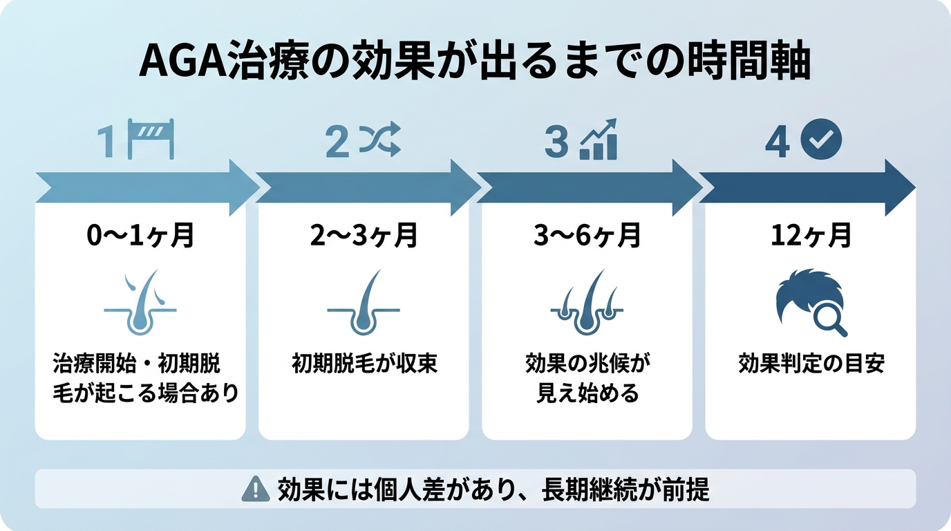 タイトル: AGA治療の効果が出るまでの時間軸。横方向のタイムライン図: 0〜1ヶ月（治療開始・初期脱毛が起こる場合あり）→ 2〜3ヶ月（初期脱毛が収束）→ 3〜6ヶ月（効果の兆候が見え始める）→ 12ヶ月（効果判定の目安）。下部に注記『効果には個人差があり、長期継続が前提』