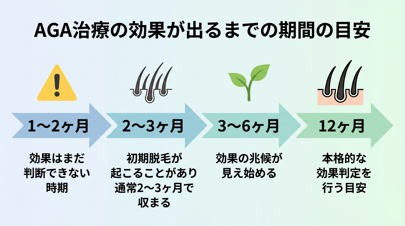 タイトル: AGA治療の効果が出るまでの期間の目安。横並び時間軸のフロー図: 1〜2ヶ月（注意アイコン）効果はまだ判断できない時期。2〜3ヶ月（抜け毛アイコン）初期脱毛が起こることがあり通常2〜3ヶ月で収まる。3〜6ヶ月（芽のアイコン）効果の兆候が見え始める。12ヶ月（毛髪のアイコン）本格的な効果判定を行う目安
