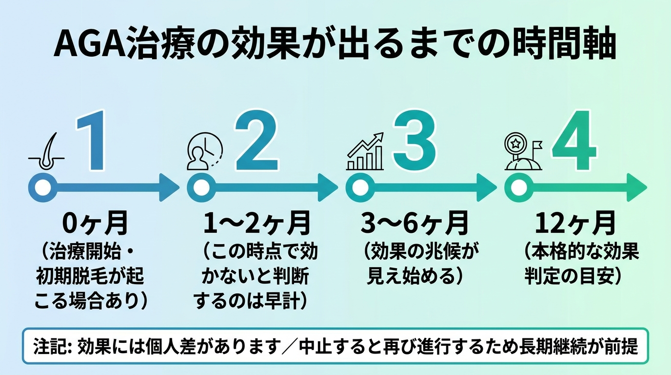 タイトル: AGA治療の効果が出るまでの時間軸。横向きのタイムライン図: 0ヶ月(治療開始・初期脱毛が起こる場合あり)→ 1〜2ヶ月(この時点で効かないと判断するのは早計)→ 3〜6ヶ月(効果の兆候が見え始める)→ 12ヶ月(本格的な効果判定の目安)。注記: 効果には個人差があります/中止すると再び進行するため長期継続が前提