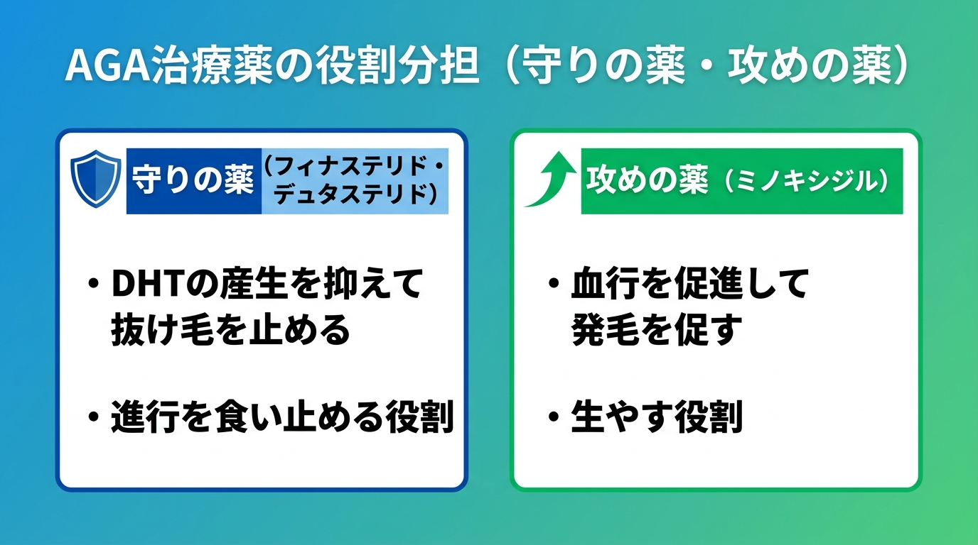 タイトル: AGA治療薬の役割分担(守りの薬・攻めの薬)。横並び2カードで: カード1(盾のアイコン)ヘッダー: 守りの薬(フィナステリド・デュタステリド)、説明: DHTの産生を抑えて抜け毛を止める。進行を食い止める役割。カード2(矢印のアイコン)ヘッダー: 攻めの薬(ミノキシジル)、説明: 血行を促進して発毛を促す。生やす役割。