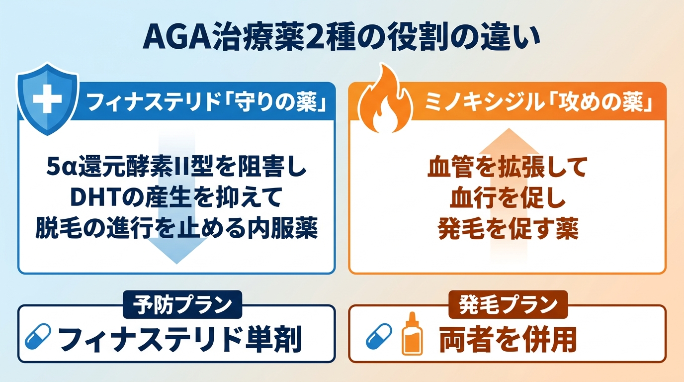 タイトル: AGA治療薬2種の役割の違い。横並び2カードのイラスト。カード1(盾のアイコン)ヘッダー: フィナステリド「守りの薬」、説明: 5α還元酵素II型を阻害しDHTの産生を抑えて脱毛の進行を止める内服薬。カード2(炎のアイコン)ヘッダー: ミノキシジル「攻めの薬」、説明: 血管を拡張して血行を促し発毛を促す薬。予防プランはフィナステリド単剤、発毛プランは両者を併用。
