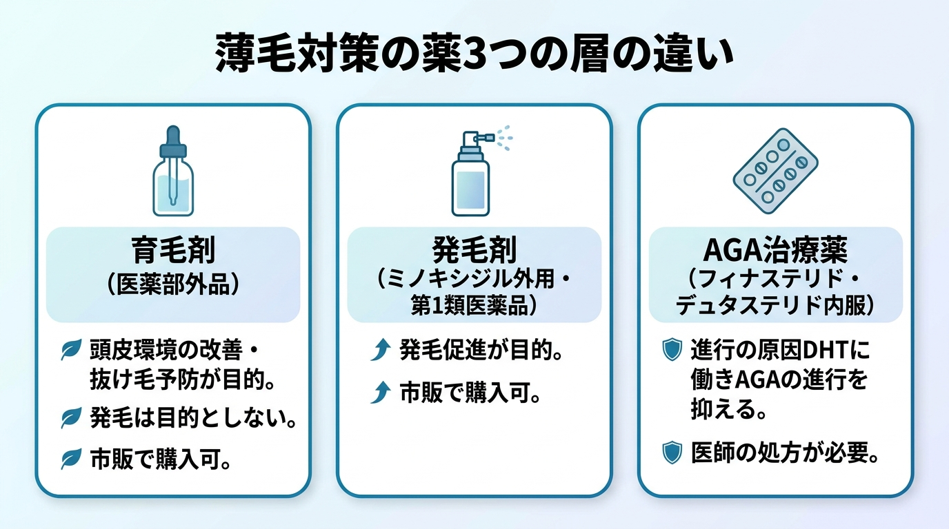 タイトル: 薄毛対策の薬3つの層の違い。横並び3カードで: カード1（育毛剤ボトルのアイコン）ヘッダー: 育毛剤（医薬部外品）、説明: 頭皮環境の改善・抜け毛予防が目的。発毛は目的としない。市販で購入可。カード2（スプレーボトルのアイコン）ヘッダー: 発毛剤（ミノキシジル外用・第1類医薬品）、説明: 発毛促進が目的。市販で購入可。カード3（錠剤シートのアイコン）ヘッダー: AGA治療薬（フィナステリド・デュタステリド内服）、説明: 進行の原因DHTに働きAGAの進行を抑える。医師の処方が必要