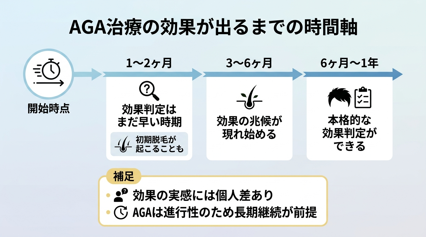 タイトル: AGA治療の効果が出るまでの時間軸。横向きのタイムライン図: 開始時点。1〜2ヶ月: 効果判定はまだ早い時期(初期脱毛が起こることも)。3〜6ヶ月: 効果の兆候が現れ始める。6ヶ月〜1年: 本格的な効果判定ができる。補足: 効果の実感には個人差あり、AGAは進行性のため長期継続が前提