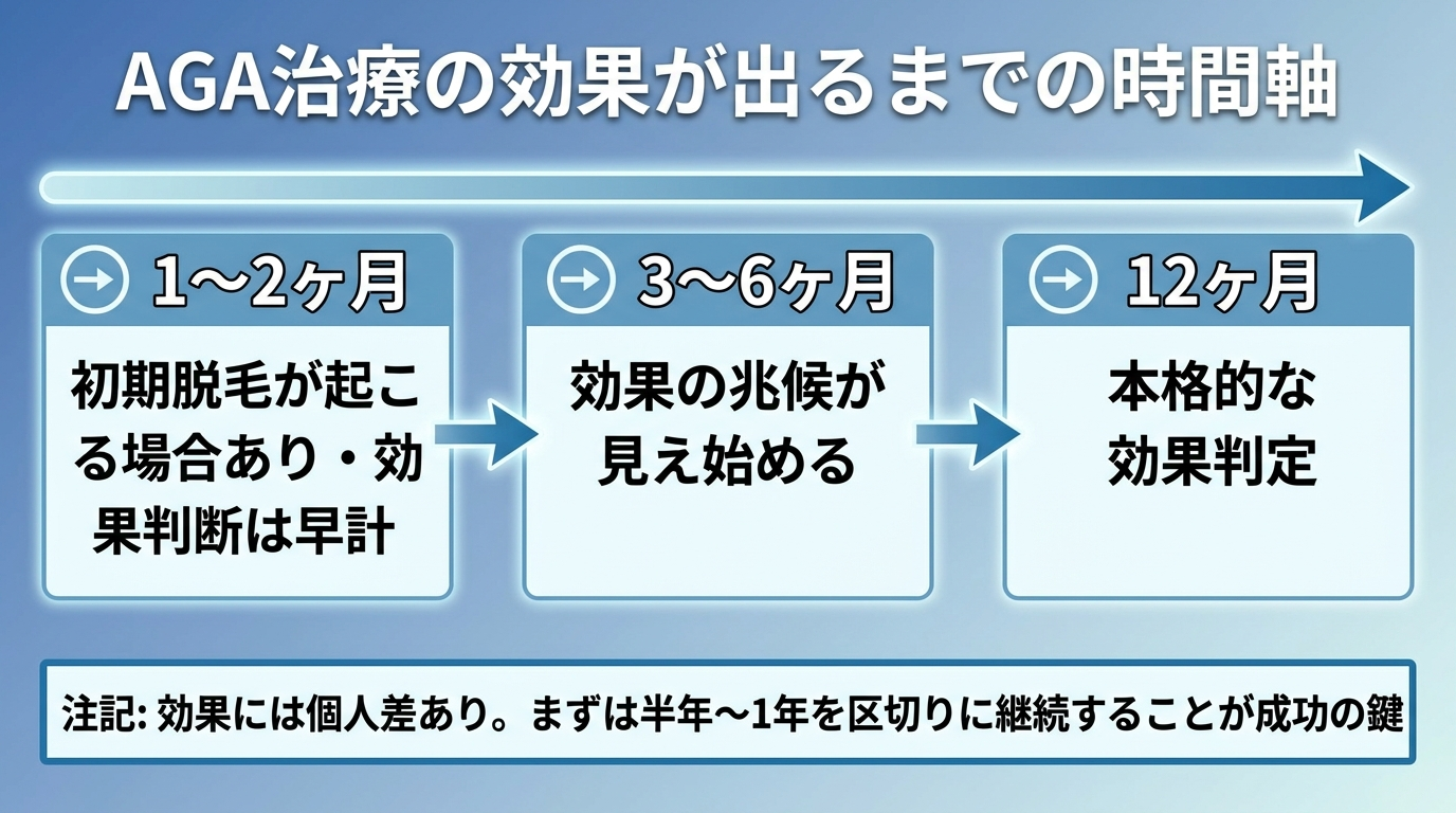 タイトル: AGA治療の効果が出るまでの時間軸。横向きのタイムライン図で: 1〜2ヶ月(初期脱毛が起こる場合あり・効果判断は早計)→ 3〜6ヶ月(効果の兆候が見え始める)→ 12ヶ月(本格的な効果判定)。下部に注記: 効果には個人差あり。まずは半年〜1年を区切りに継続することが成功の鍵