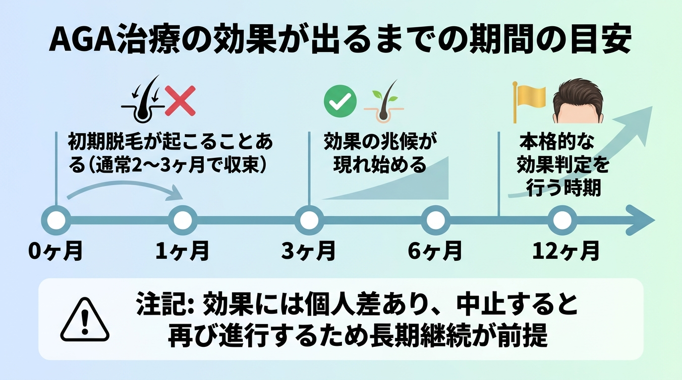 タイトル: AGA治療の効果が出るまでの期間の目安。横並び時系列のタイムライン: 0〜1ヶ月: 初期脱毛が起こることがある(通常2〜3ヶ月で収束)。3〜6ヶ月: 効果の兆候が現れ始める。12ヶ月: 本格的な効果判定を行う時期。下部に注記: 効果には個人差があり、中止すると再び進行するため長期継続が前提