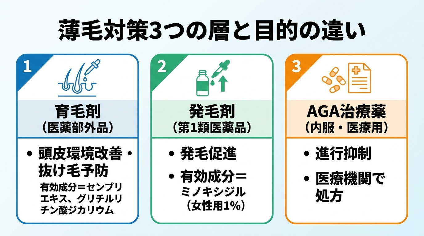 タイトル: 薄毛対策3つの層と目的の違い。横並び3カードで: カード1（頭皮のアイコン）ヘッダー: 育毛剤（医薬部外品）、説明: 頭皮環境改善・抜け毛予防。有効成分=センブリエキス、グリチルリチン酸ジカリウム。カード2（ボトルのアイコン）ヘッダー: 発毛剤（第1類医薬品）、説明: 発毛促進。有効成分=ミノキシジル（女性用1%）。カード3（錠剤のアイコン）ヘッダー: AGA治療薬（内服・医療用）、説明: 進行抑制。医療機関で処方