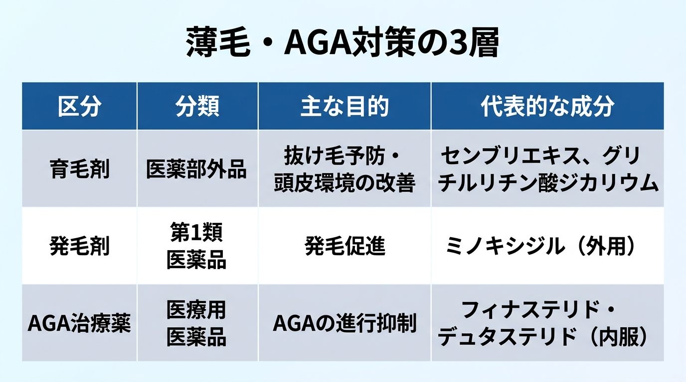 タイトル: 薄毛・AGA対策の3層。4列の表: ヘッダー行: 区分 | 分類 | 主な目的 | 代表的な成分。行1: 育毛剤 | 医薬部外品 | 抜け毛予防・頭皮環境の改善 | センブリエキス、グリチルリチン酸ジカリウム。行2: 発毛剤 | 第1類医薬品 | 発毛促進 | ミノキシジル(外用)。行3: AGA治療薬 | 医療用医薬品 | AGAの進行抑制 | フィナステリド・デュタステリド(内服)