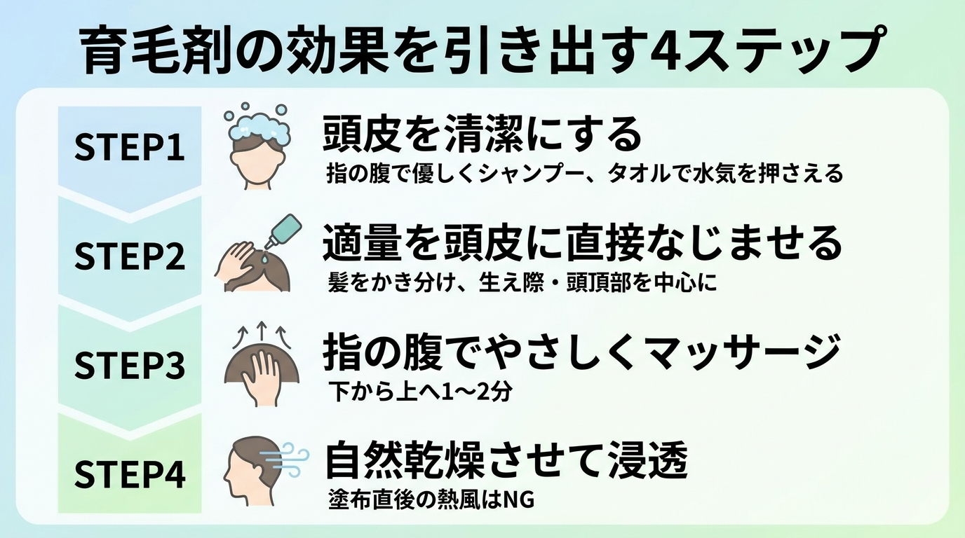 タイトル: 育毛剤の効果を引き出す4ステップ。番号付き縦フロー図。STEP1: 頭皮を清潔にする（指の腹で優しくシャンプー、タオルで水気を押さえる）。STEP2: 適量を頭皮に直接なじませる（髪をかき分け、生え際・頭頂部を中心に）。STEP3: 指の腹でやさしくマッサージ（下から上へ1〜2分）。STEP4: 自然乾燥させて浸透（塗布直後の熱風はNG）。各ステップにアイコン付き