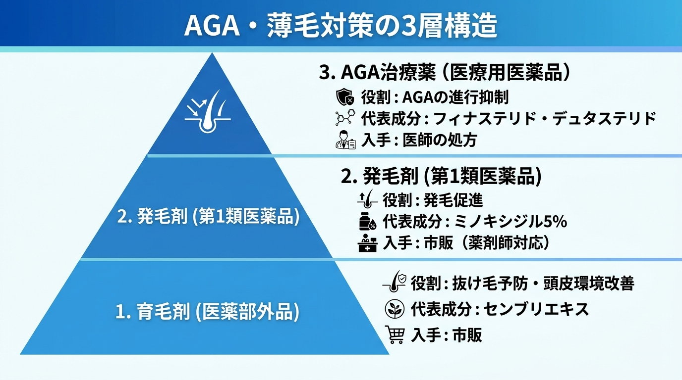 タイトル: AGA・薄毛対策の3層構造。縦並び3段のピラミッド図または横並び3カード。カード1: 育毛剤（医薬部外品）、役割=抜け毛予防・頭皮環境改善、代表成分=センブリエキス、入手=市販。カード2: 発毛剤（第1類医薬品）、役割=発毛促進、代表成分=ミノキシジル5%、入手=市販（薬剤師対応）。カード3: AGA治療薬（医療用医薬品）、役割=AGAの進行抑制、代表成分=フィナステリド・デュタステリド、入手=医師の処方