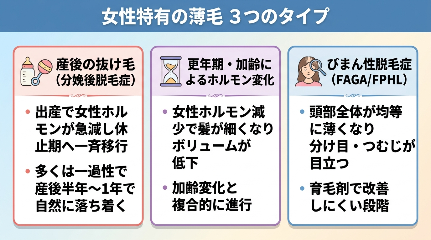 タイトル: 女性特有の薄毛 3つのタイプ。横並び3カードで: カード1（赤ちゃんのアイコン）ヘッダー: 産後の抜け毛（分娩後脱毛症）、説明: 出産で女性ホルモンが急減し休止期へ一斉移行。多くは一過性で産後半年〜1年で自然に落ち着く。カード2（砂時計のアイコン）ヘッダー: 更年期・加齢によるホルモン変化、説明: 女性ホルモン減少で髪が細くなりボリュームが低下。加齢変化と複合的に進行。カード3（頭部のアイコン）ヘッダー: びまん性脱毛症（FAGA/FPHL）、説明: 頭部全体が均等に薄くなり分け目・つむじが目立つ。育毛剤で改善しにくい段階。