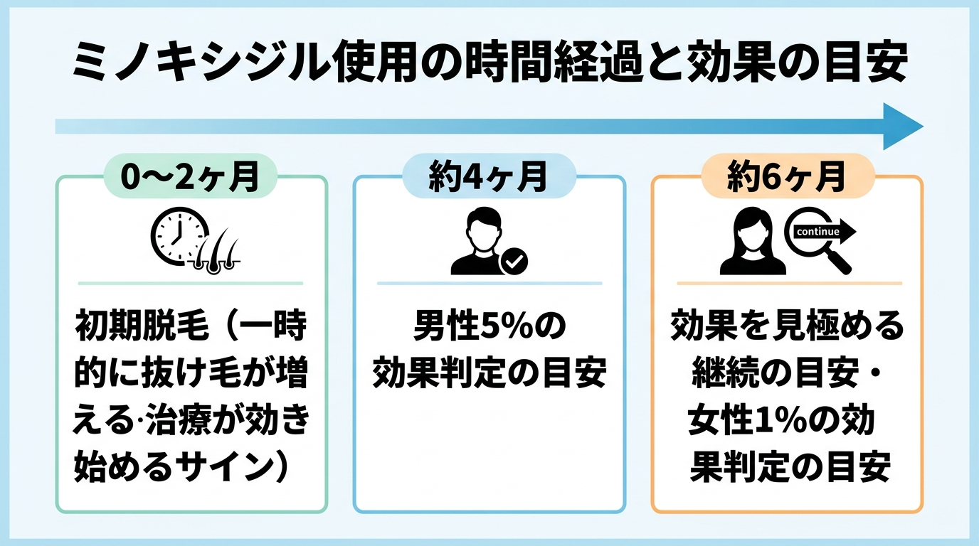 タイトル: ミノキシジル使用の時間経過と効果の目安。横向きタイムライン図: 0〜2ヶ月「初期脱毛(一時的に抜け毛が増える・治療が効き始めるサイン)」、約4ヶ月「男性5%の効果判定の目安」、約6ヶ月「効果を見極める継続の目安・女性1%の効果判定の目安」の3ポイントを時系列で配置