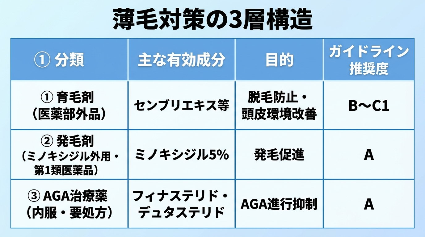 タイトル: 薄毛対策の3層構造。4列の表: ヘッダー行: 分類 | 主な有効成分 | 目的 | ガイドライン推奨度。行1: 育毛剤（医薬部外品） | センブリエキス等 | 脱毛防止・頭皮環境改善 | B〜C1。行2: 発毛剤（ミノキシジル外用・第1類医薬品） | ミノキシジル5% | 発毛促進 | A。行3: AGA治療薬（内服・要処方） | フィナステリド・デュタステリド | AGA進行抑制 | A
