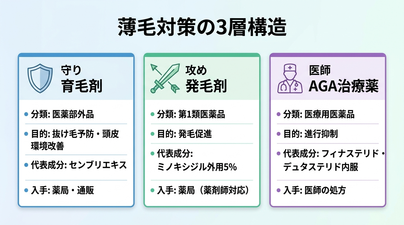 タイトル: 薄毛対策の3層構造。横並び3カードで比較: カード1（守りのアイコン）ヘッダー: 育毛剤、分類: 医薬部外品、目的: 抜け毛予防・頭皮環境改善、代表成分: センブリエキス、入手: 薬局・通販。カード2（攻めのアイコン）ヘッダー: 発毛剤、分類: 第1類医薬品、目的: 発毛促進、代表成分: ミノキシジル外用5%、入手: 薬局（薬剤師対応）。カード3（医師のアイコン）ヘッダー: AGA治療薬、分類: 医療用医薬品、目的: 進行抑制、代表成分: フィナステリド・デュタステリド内服、入手: 医師の処方