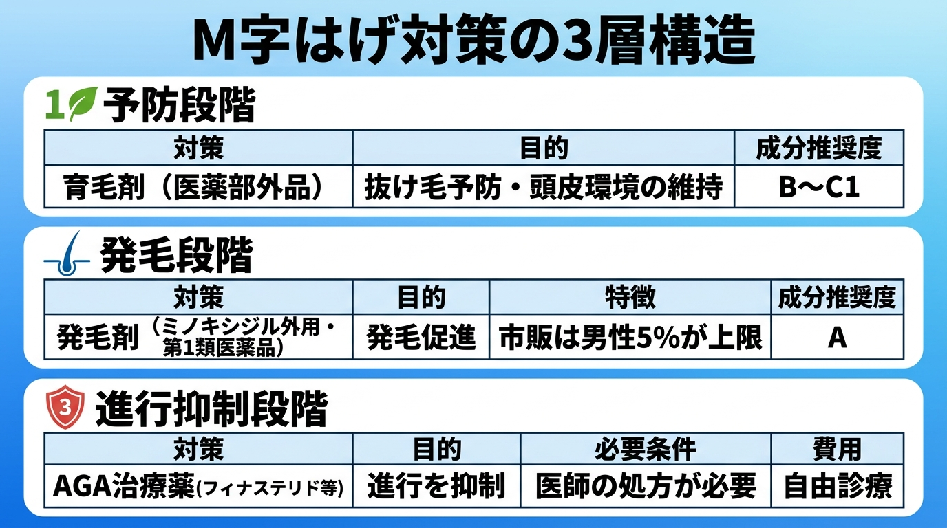 タイトル: M字はげ対策の3層構造。縦並び3ブロックで進行度別に対策を整理: ブロック1（予防段階）育毛剤（医薬部外品）｜目的: 抜け毛予防・頭皮環境の維持｜成分推奨度B〜C1。ブロック2（発毛段階）発毛剤（ミノキシジル外用・第1類医薬品）｜目的: 発毛促進｜市販は男性5%が上限｜推奨度A。ブロック3（進行抑制段階）AGA治療薬（フィナステリド等）｜目的: 進行を抑制｜医師の処方が必要｜自由診療