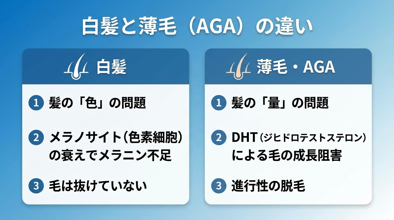 タイトル: 白髪と薄毛(AGA)の違い。横並び2カードで比較。カード1(毛髪アイコン・白)ヘッダー: 白髪、問題: 髪の「色」の問題、原因: メラノサイト(色素細胞)の衰えでメラニン不足、特徴: 毛は抜けていない。カード2(毛髪アイコン・薄)ヘッダー: 薄毛・AGA、問題: 髪の「量」の問題、原因: DHT(ジヒドロテストステロン)による毛の成長阻害、特徴: 進行性の脱毛