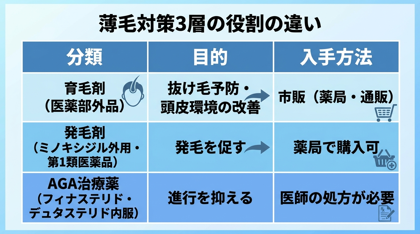 タイトル: 薄毛対策3層の役割の違い。3列の表: ヘッダー行: 分類 | 目的 | 入手方法。行1: 育毛剤（医薬部外品） | 抜け毛予防・頭皮環境の改善 | 市販（薬局・通販）。行2: 発毛剤（ミノキシジル外用・第1類医薬品） | 発毛を促す | 薬局で購入可。行3: AGA治療薬（フィナステリド・デュタステリド内服） | 進行を抑える | 医師の処方が必要