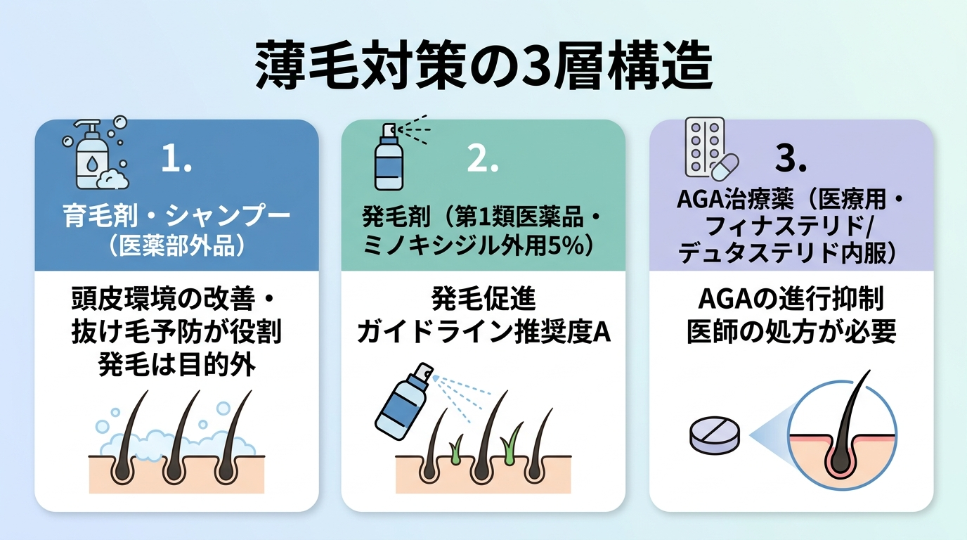 タイトル: 薄毛対策の3層構造。縦並び3カードで: カード1（シャンプーのアイコン）ヘッダー: 育毛剤・シャンプー（医薬部外品）、説明: 頭皮環境の改善・抜け毛予防が役割。発毛は目的外。カード2（スプレー容器のアイコン）ヘッダー: 発毛剤（第1類医薬品・ミノキシジル外用5%）、説明: 発毛促進。ガイドライン推奨度A。カード3（錠剤のアイコン）ヘッダー: AGA治療薬（医療用・フィナステリド/デュタステリド内服）、説明: AGAの進行抑制。医師の処方が必要