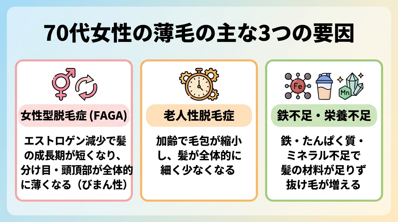 タイトル: 70代女性の薄毛の主な3つの要因。横並び3カードで: カード1(女性ホルモンのアイコン)ヘッダー: 女性型脱毛症(FAGA)、説明: エストロゲン減少で髪の成長期が短くなり、分け目・頭頂部が全体的に薄くなる(びまん性)。カード2(時計のアイコン)ヘッダー: 老人性脱毛症、説明: 加齢で毛包が縮小し、髪が全体的に細く少なくなる。カード3(栄養素のアイコン)ヘッダー: 鉄不足・栄養不足、説明: 鉄・たんぱく質・ミネラル不足で髪の材料が足りず抜け毛が増える。