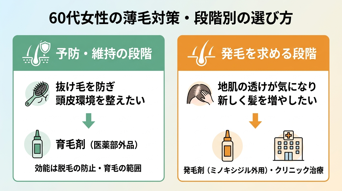 タイトル: 60代女性の薄毛対策・段階別の選び方。横並び2カードで比較。カード1(頭皮のアイコン)ヘッダー: 予防・維持の段階、説明: 抜け毛を防ぎ頭皮環境を整えたい→育毛剤(医薬部外品)。効能は脱毛の防止・育毛の範囲。カード2(発毛のアイコン)ヘッダー: 発毛を求める段階、説明: 地肌の透けが気になり新しく髪を増やしたい→発毛剤(ミノキシジル外用)・クリニック治療