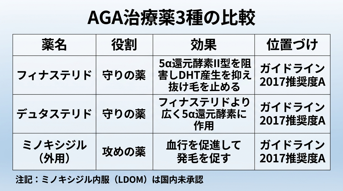 タイトル: AGA治療薬3種の比較。4列の表: ヘッダー行: 薬名 | 役割 | 効果 | 位置づけ。行1: フィナステリド | 守りの薬 | 5α還元酵素II型を阻害しDHT産生を抑え抜け毛を止める | ガイドライン2017推奨度A。行2: デュタステリド | 守りの薬 | フィナステリドより広く5α還元酵素に作用 | ガイドライン2017推奨度A。行3: ミノキシジル(外用) | 攻めの薬 | 血行を促進して発毛を促す | ガイドライン2017推奨度A。下部に注記: ミノキシジル内服(LDOM)は国内未承認