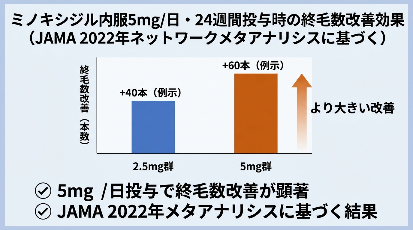 タイトル: ミノキシジル内服5mg/日・24週間投与時の終毛数改善効果(JAMA 2022年ネットワークメタアナリシスに基づく)。棒グラフ2本: 2.5mg群 | 5mg群。5mg群の棒がより高く、終毛数改善が大きいことを示す