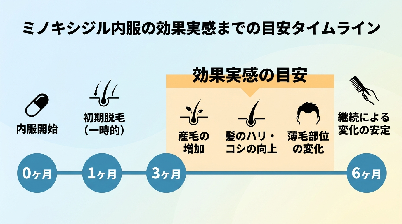 タイトル: ミノキシジル内服の効果実感までの目安タイムライン。横軸に0ヶ月・1ヶ月・3ヶ月・6ヶ月を配置し、3〜6ヶ月の区間を『効果実感の目安』としてハイライト表示