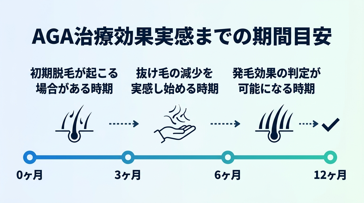 チャート: AGA治療の効果実感までの期間目安。横軸に0ヶ月・3ヶ月・6ヶ月・12ヶ月を配置したタイムライン図。0〜3ヶ月: 初期脱毛が起こる場合がある時期。3〜6ヶ月: 抜け毛の減少を実感し始める時期。6〜12ヶ月: 発毛効果の判定が可能になる時期。