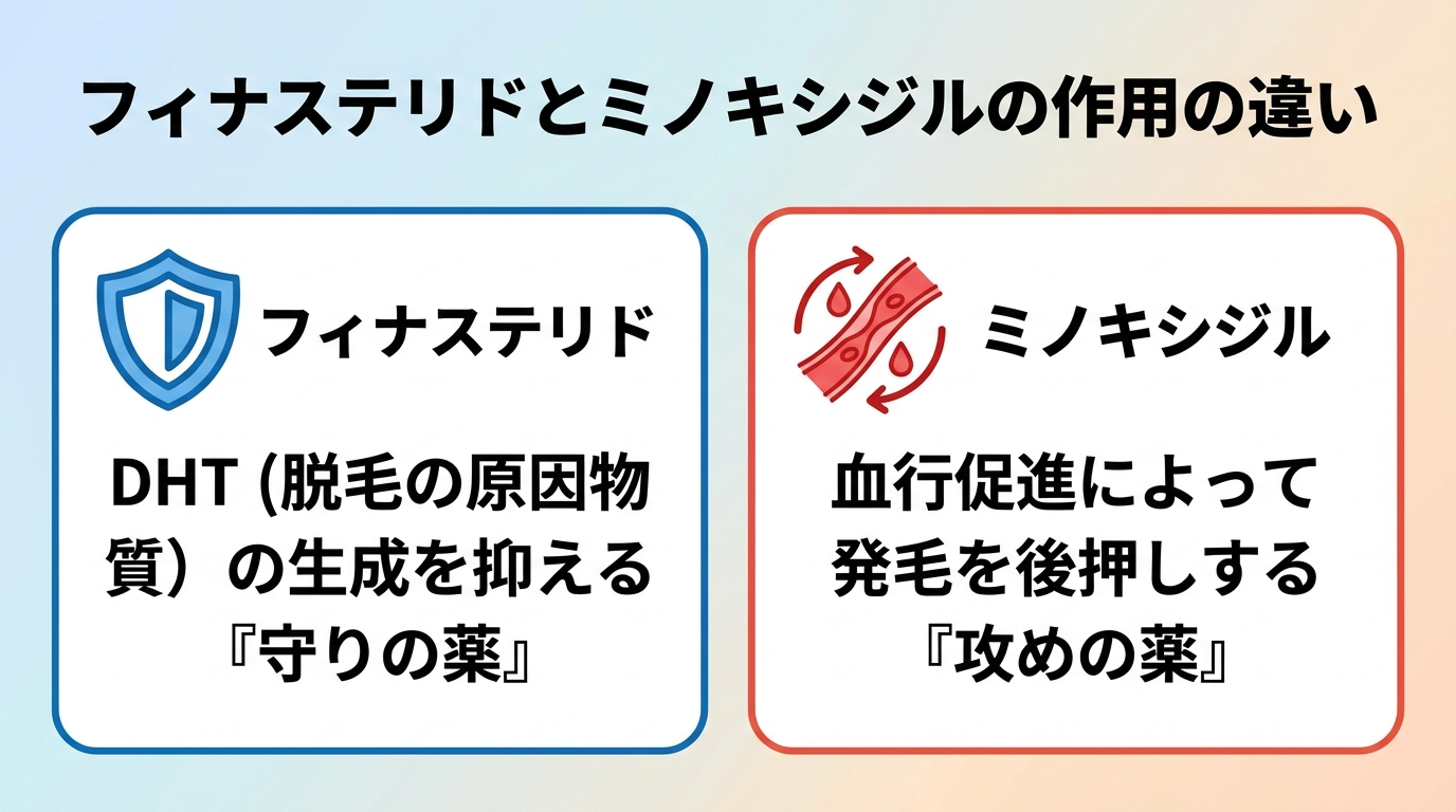 タイトル: フィナステリドとミノキシジルの作用の違い。横並び2カードで: カード1(盾のアイコン)ヘッダー: フィナステリド、説明: DHT(脱毛の原因物質)の生成を抑える「守りの薬」。カード2(血流のアイコン)ヘッダー: ミノキシジル、説明: 血行促進によって発毛を後押しする「攻めの薬」。