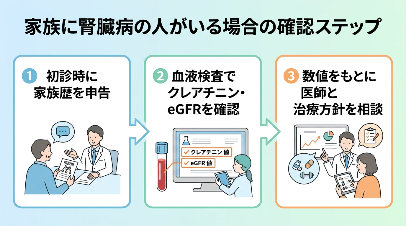 タイトル: 家族に腎臓病の人がいる場合の確認ステップ。3ステップ図: ①初診時に家族歴を申告 ②血液検査でクレアチニン・eGFRを確認 ③数値をもとに医師と治療方針を相談。