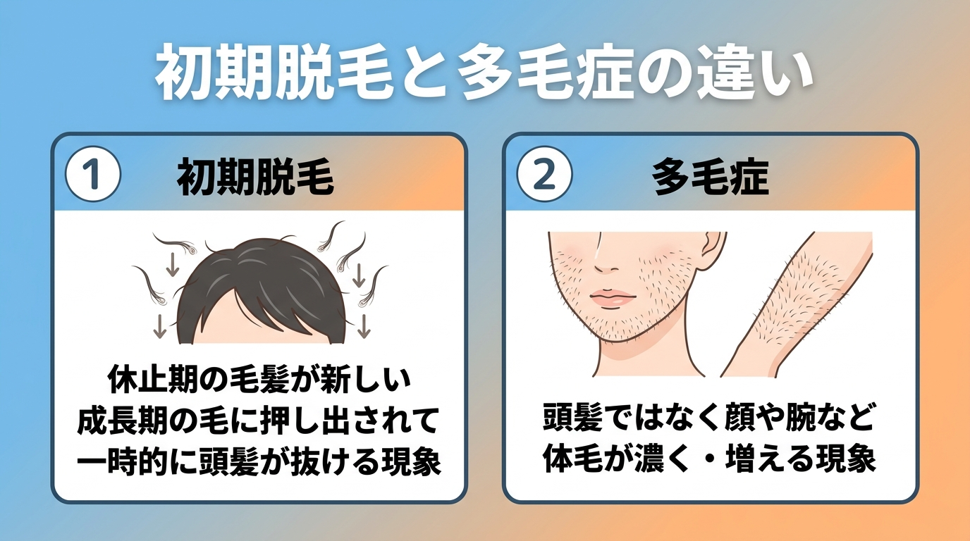 タイトル: 初期脱毛と多毛症の違い。横並び2カードで対比イラスト。カード1(頭部のイラスト、抜け毛のアイコン)ヘッダー: 初期脱毛、説明: 休止期の毛髪が新しい成長期の毛に押し出されて一時的に頭髪が抜ける現象。カード2(顔・腕のイラスト、産毛のアイコン)ヘッダー: 多毛症、説明: 頭髪ではなく顔や腕など体毛が濃く・増える現象。