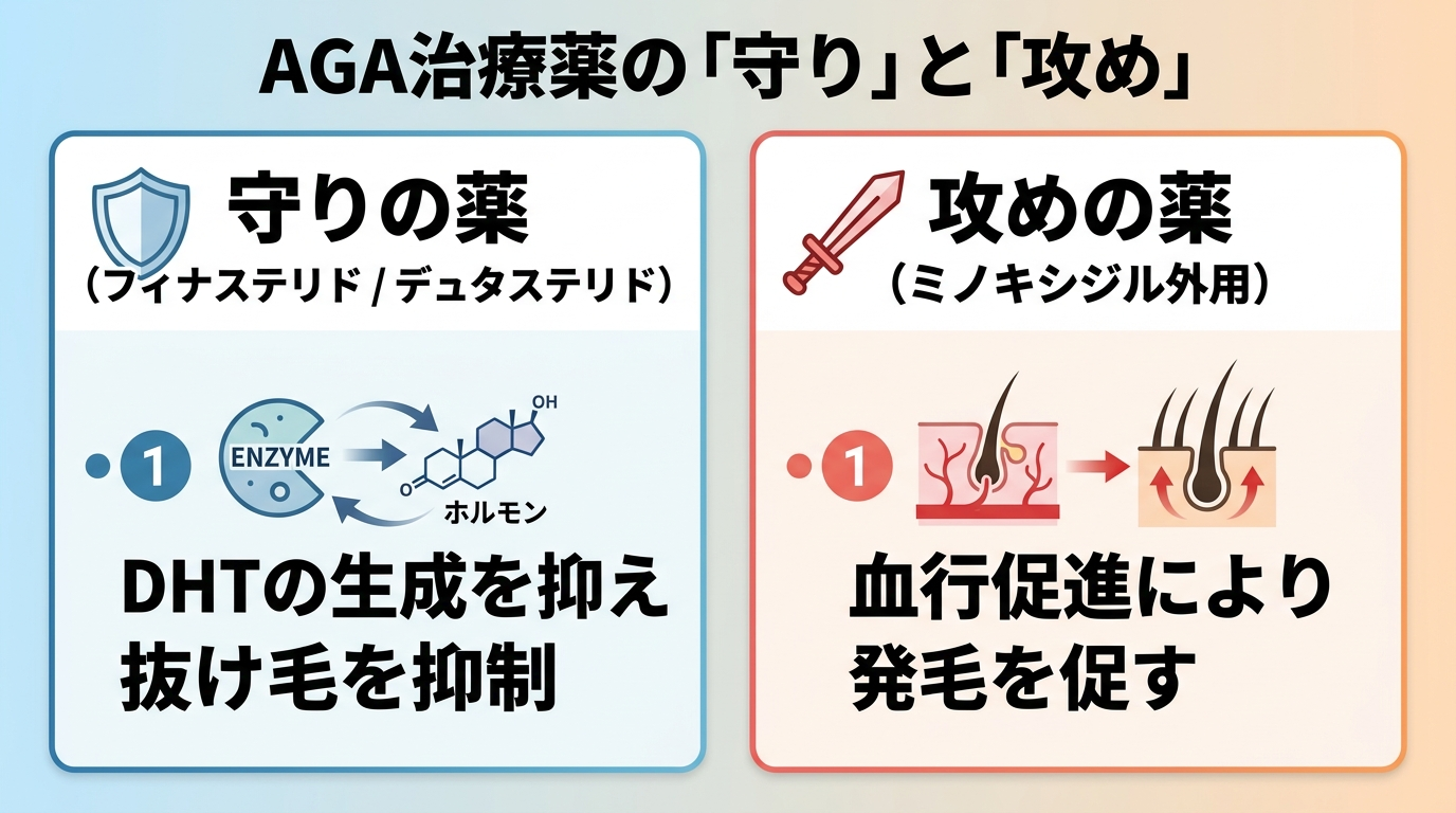 タイトル: AGA治療薬の「守り」と「攻め」。2カード横並び: カード1 ヘッダー:守りの薬(フィナステリド/デュタステリド)、説明:DHTの生成を抑え抜け毛を抑制。カード2 ヘッダー:攻めの薬(ミノキシジル外用)、説明:血行促進により発毛を促す。