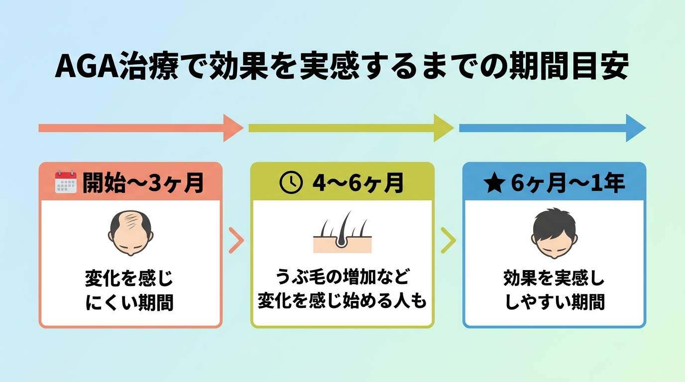 タイトル: AGA治療で効果を実感するまでの期間目安。横軸タイムライン形式: 開始〜3ヶ月|変化を感じにくい期間、4〜6ヶ月|うぶ毛の増加など変化を感じ始める人も、6ヶ月〜1年|効果を実感しやすい期間。