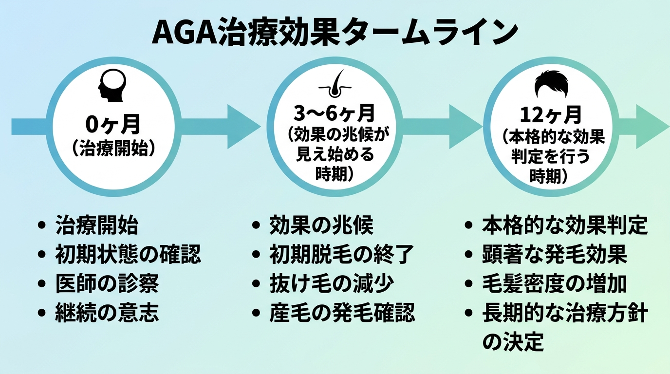 AGA治療の効果判定タイムラインを示す図。横軸に時間経過を配置: 0ヶ月(治療開始)→3〜6ヶ月(効果の兆候が見え始める時期)→12ヶ月(本格的な効果判定を行う時期)。各時点に簡潔な説明を添える。