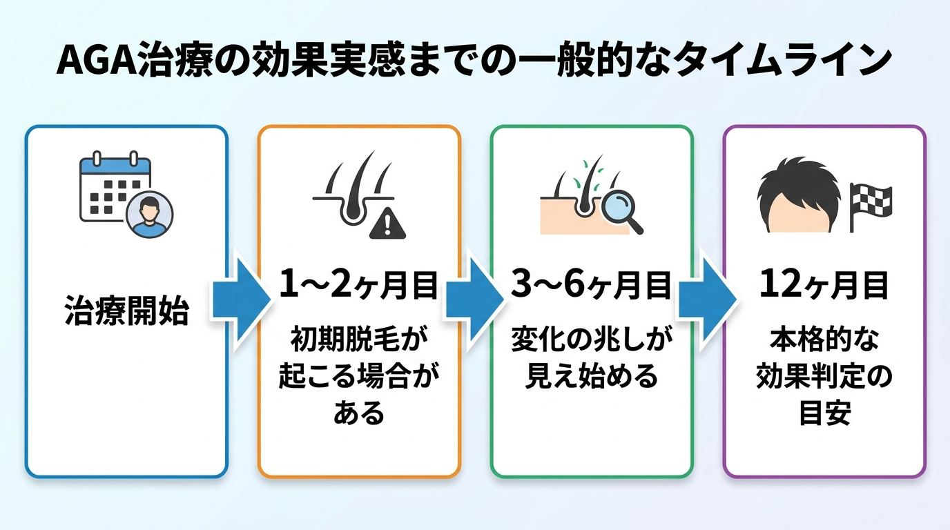 タイトル: AGA治療の効果実感までの一般的なタイムライン。時系列の図: 治療開始 → 1〜2ヶ月目 初期脱毛が起こる場合がある → 3〜6ヶ月目 変化の兆しが見え始める → 12ヶ月目 本格的な効果判定の目安
