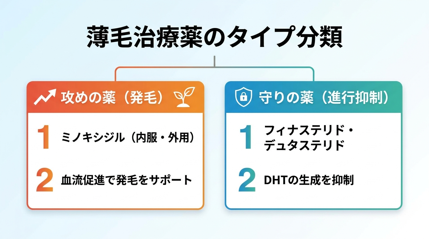 薄毛治療薬のタイプ分類図。カード1「攻めの薬(発毛)」: ミノキシジル(内服・外用)、血流促進で発毛をサポート。カード2「守りの薬(進行抑制)」: フィナステリド・デュタステリド、DHTの生成を抑制。