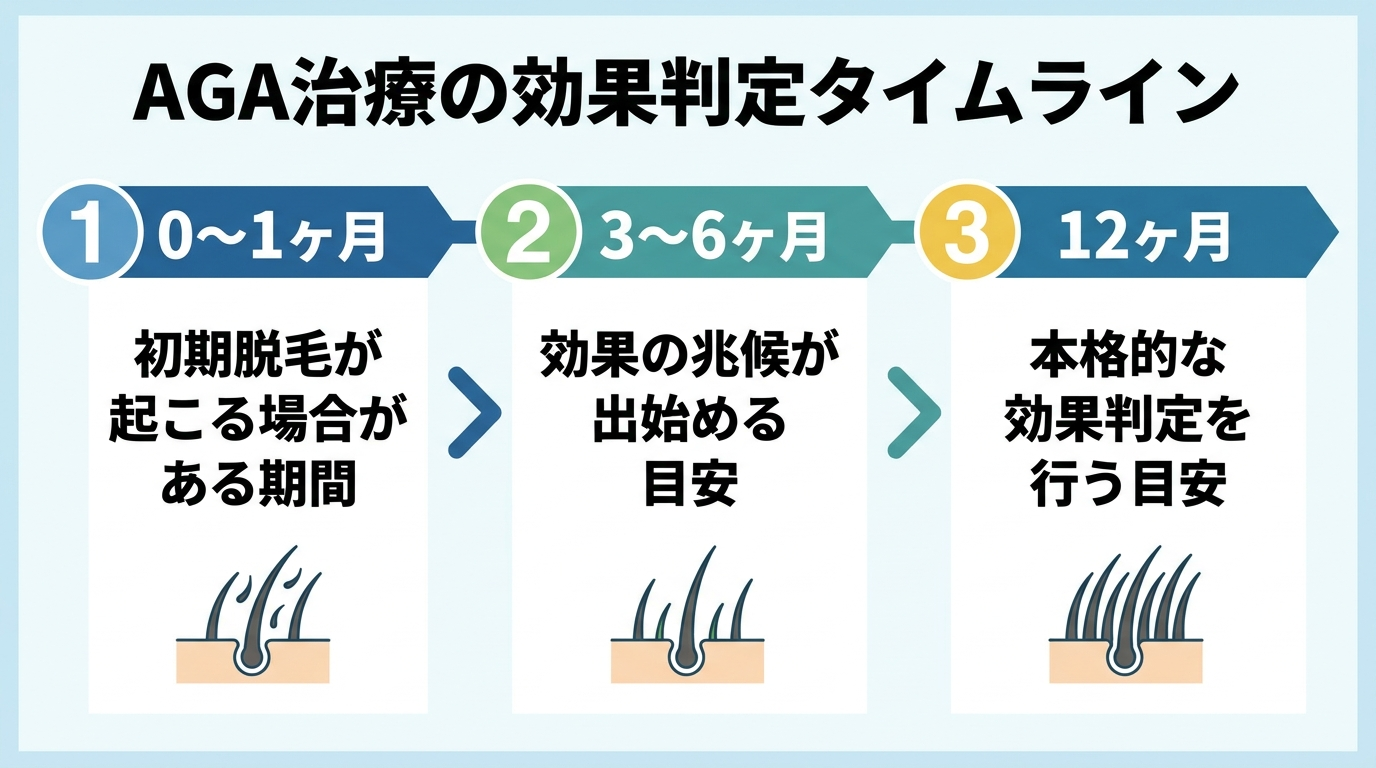 AGA治療の効果判定タイムライン。横軸に治療期間を示すタイムライン図: 0〜1ヶ月「初期脱毛が起こる場合がある期間」。3〜6ヶ月「効果の兆候が出始める目安」。12ヶ月「本格的な効果判定を行う目安」。