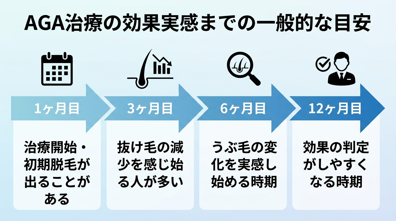 タイトル: AGA治療の効果実感までの一般的な目安。横軸を時間経過(1ヶ月目・3ヶ月目・6ヶ月目・12ヶ月目)とした4段階のタイムライン図。1ヶ月目: 治療開始・初期脱毛が出ることがある。3ヶ月目: 抜け毛の減少を感じ始める人が多い。6ヶ月目: うぶ毛の変化を実感し始める時期。12ヶ月目: 効果の判定がしやすくなる時期。矢印でつながるシンプルな横並びタイムライン
