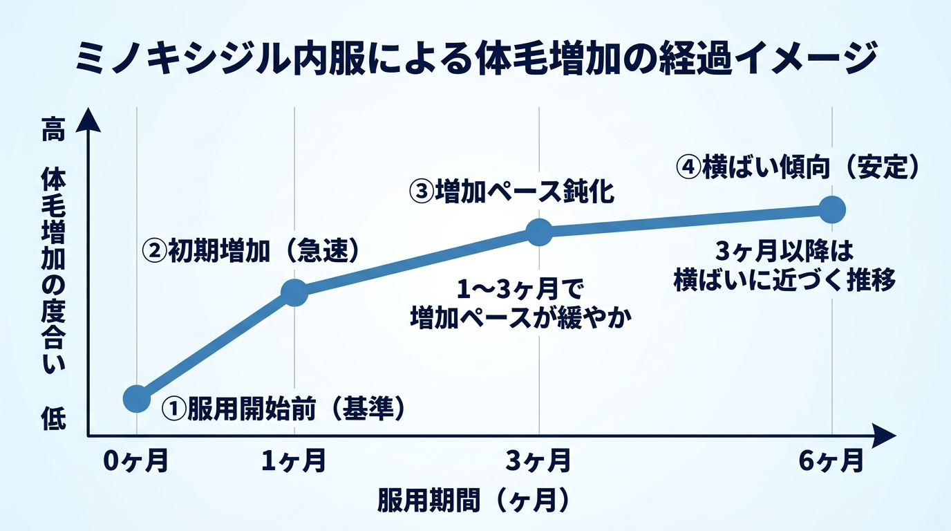 タイトル: ミノキシジル内服による体毛増加の経過イメージ。横軸に服用期間(0ヶ月・1ヶ月・3ヶ月・6ヶ月)、縦軸に体毛増加の度合いを示す折れ線グラフ。服用開始後1〜3ヶ月で増加ペースが緩やかになり、3ヶ月以降は横ばいに近づく推移を示す。