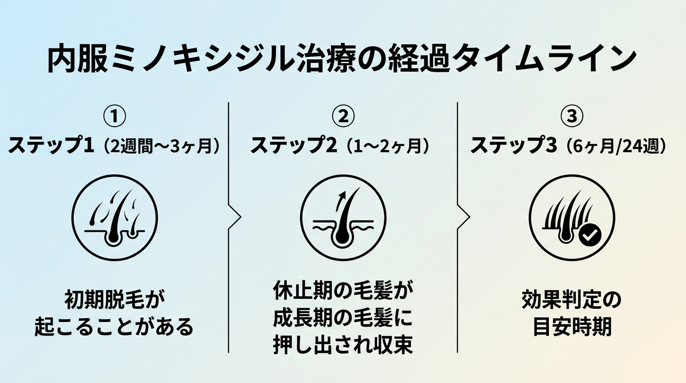 タイトル: 内服ミノキシジル治療の経過タイムライン。横並び3ステップ: ステップ1(2週間〜3ヶ月)初期脱毛が起こることがある、ステップ2(1〜2ヶ月)休止期の毛髪が成長期の毛髪に押し出され収束、ステップ3(6ヶ月/24週)効果判定の目安時期