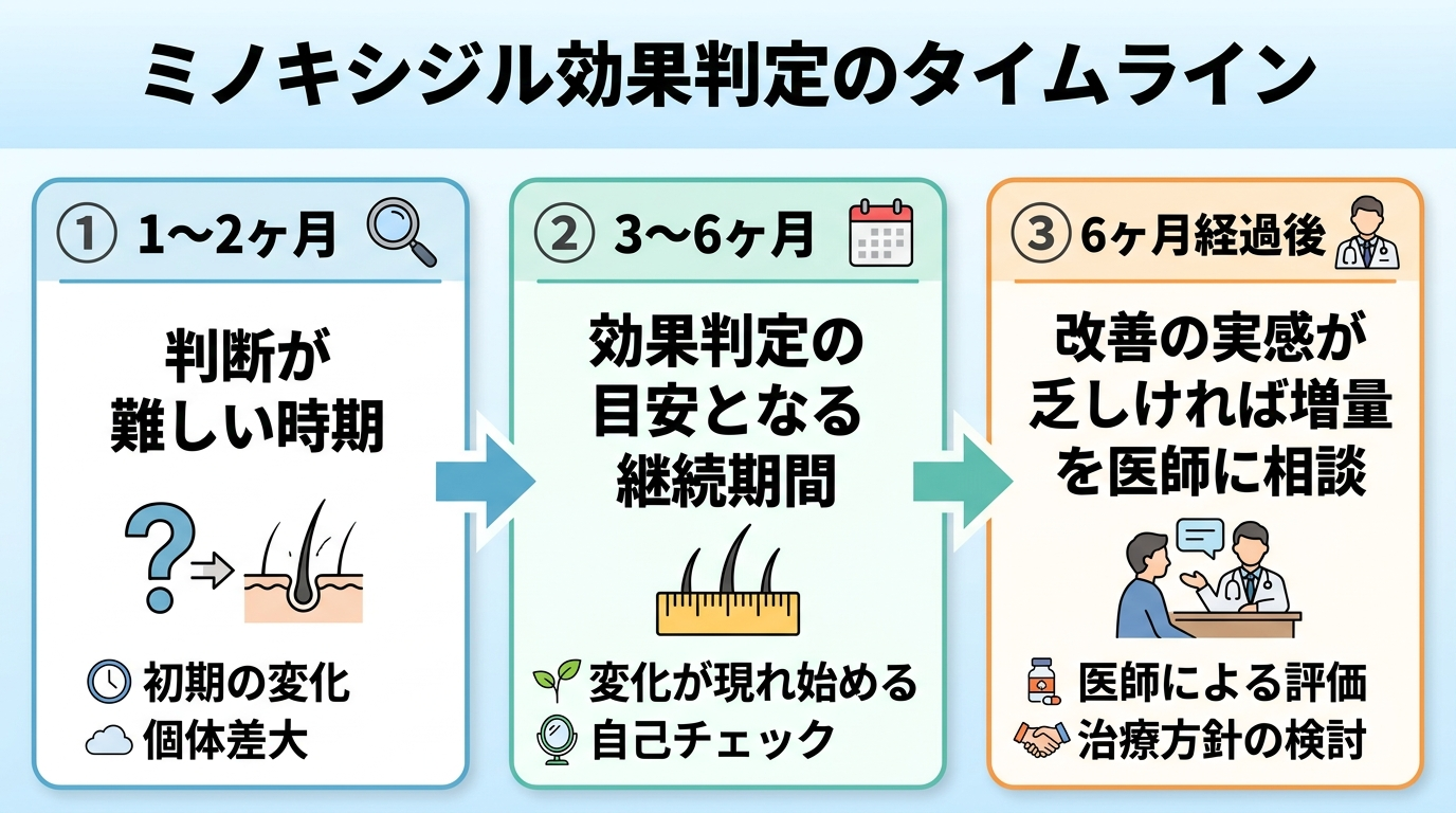 タイトル: ミノキシジル効果判定のタイムライン。横並び3ステージの図。ステージ1見出し「1〜2ヶ月」説明: 判断が難しい時期。ステージ2見出し「3〜6ヶ月」説明: 効果判定の目安となる継続期間。ステージ3見出し「6ヶ月経過後」説明: 改善の実感が乏しければ増量を医師に相談。