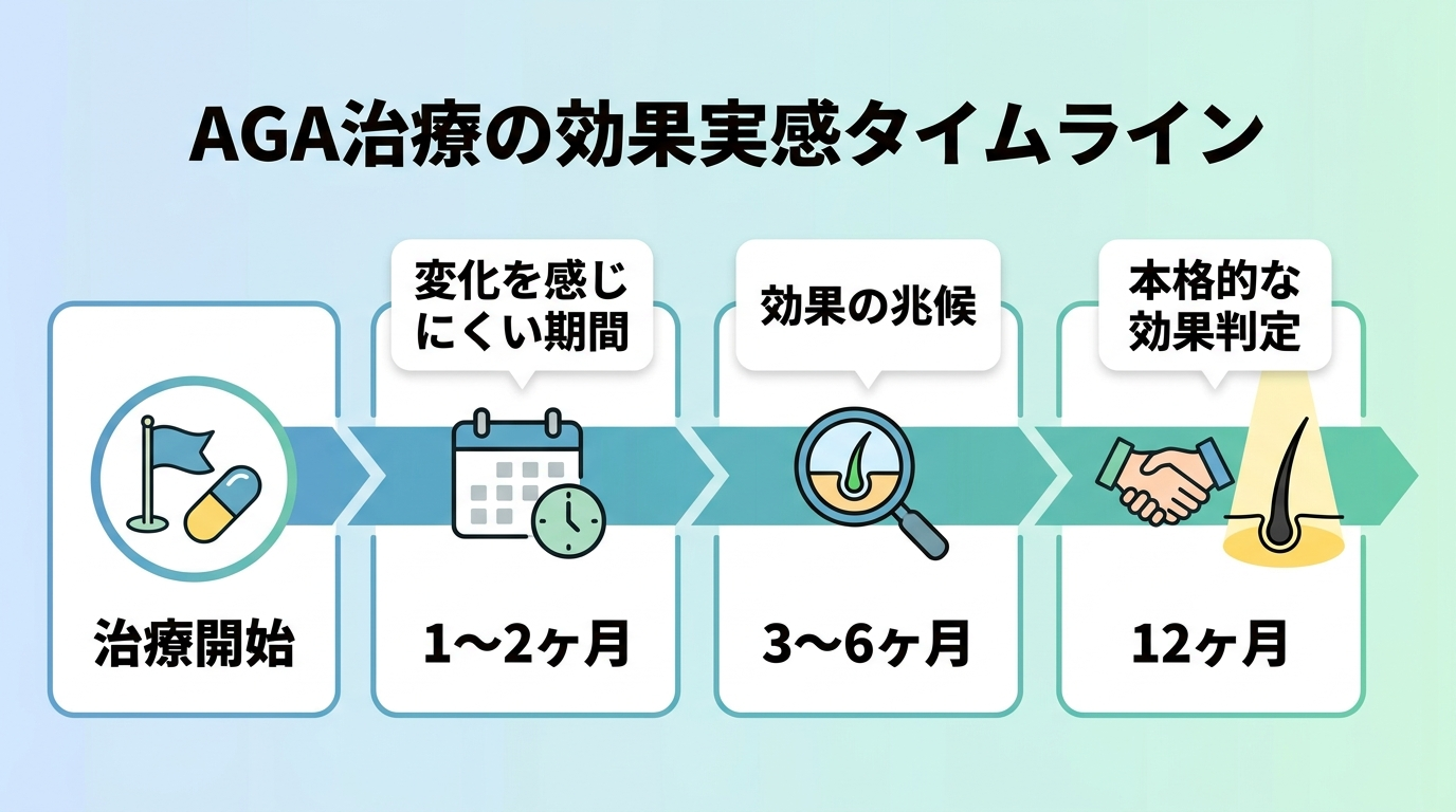 タイトル: AGA治療の効果実感タイムライン。横軸に時間軸のロードマップ: 治療開始→1〜2ヶ月(変化を感じにくい期間)→3〜6ヶ月(効果の兆候)→12ヶ月(本格的な効果判定)。各ポイントにアイコンと期間ラベルを表示するタイムライン図。
