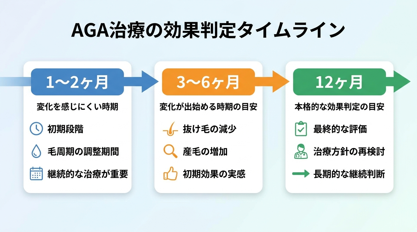 AGA治療の効果判定タイムライン図。横軸に時間経過を示し、1〜2ヶ月(変化を感じにくい時期)→3〜6ヶ月(変化が出始める時期の目安)→12ヶ月(本格的な効果判定の目安)の3区間を矢印でつないだタイムライン