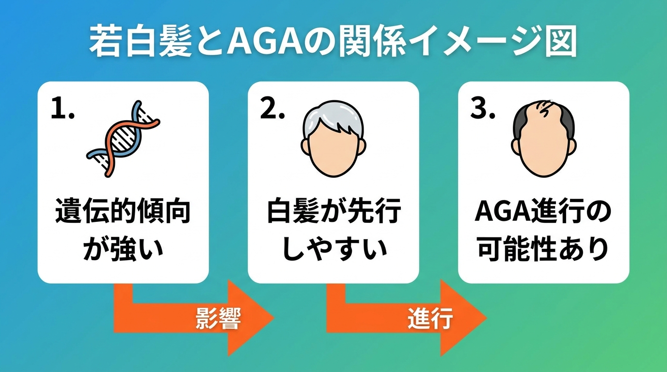 若白髪の家系傾向とAGA進行の関係イメージ図。遺伝的傾向が強い場合に白髪が先行しやすいことを示す簡易フロー図