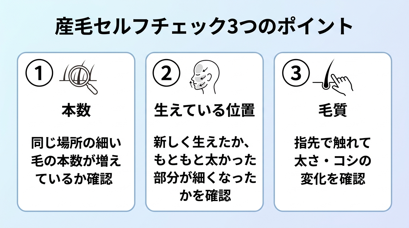 タイトル: 産毛セルフチェック3つのポイント。横並び3カード。カード1見出し「本数」説明: 同じ場所の細い毛の本数が増えているか確認。カード2見出し「生えている位置」説明: 新しく生えたか、もともと太かった部分が細くなったかを確認。カード3見出し「毛質」説明: 指先で触れて太さ・コシの変化を確認。